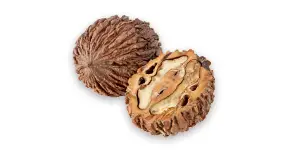 Image of walnut hull